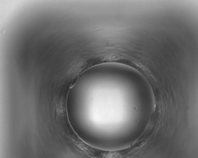 X0000061720517200512092004