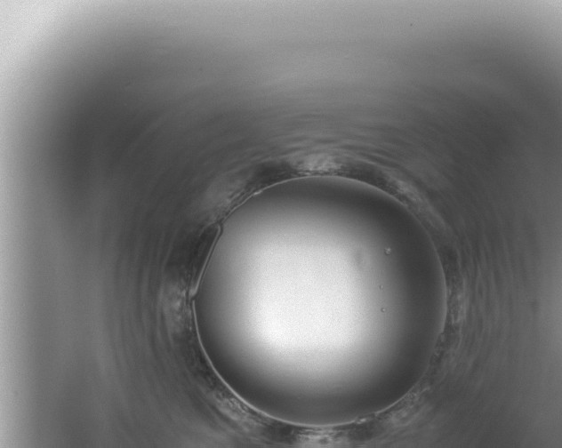 X0000061720521200512092004