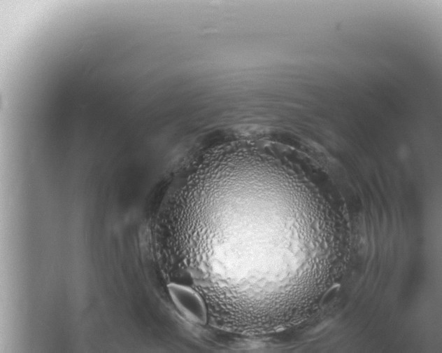 X0000061720523200512092003