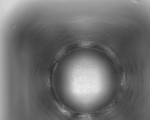 X0000061720524200512092003