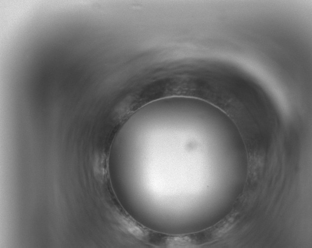 X0000061720525200512092003