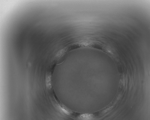 X0000061720526200512092003