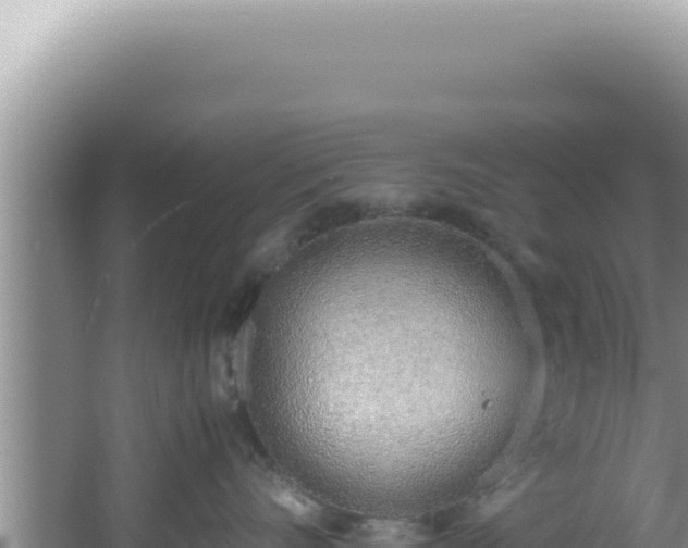 X0000061720528200512092003