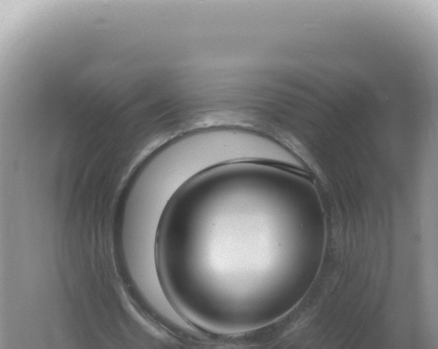 X0000061720530200512092003