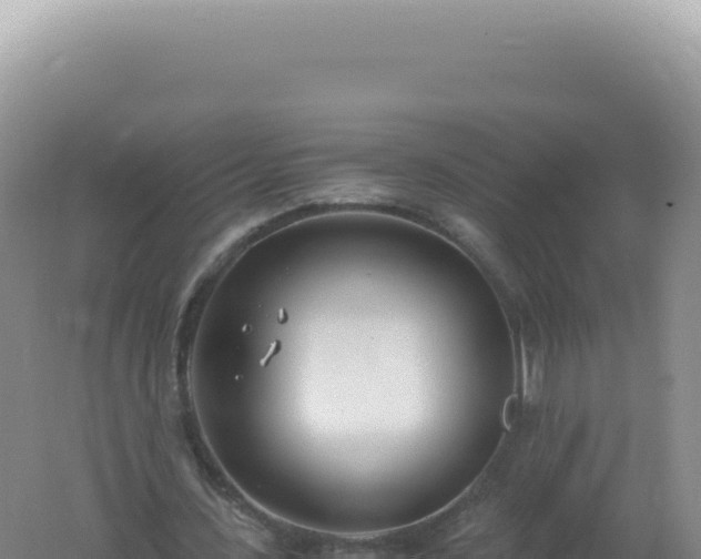 X0000061720531200512092003