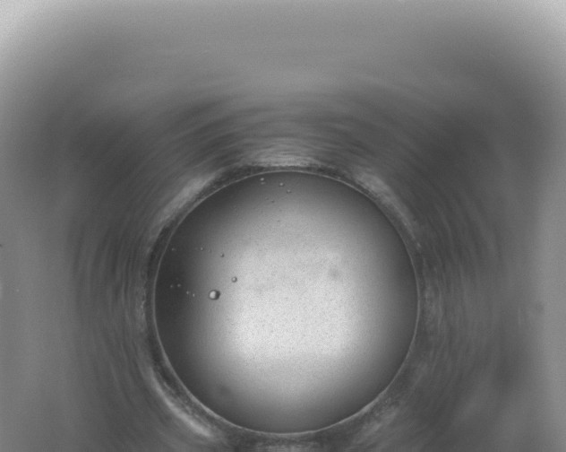 X0000061720533200512092003