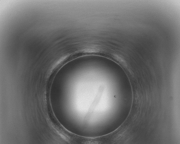 X0000061720535200512092003