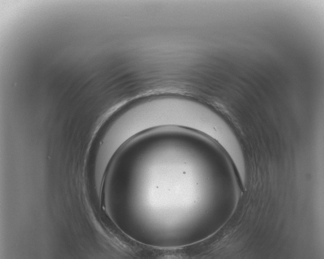 X0000061720536200512092003