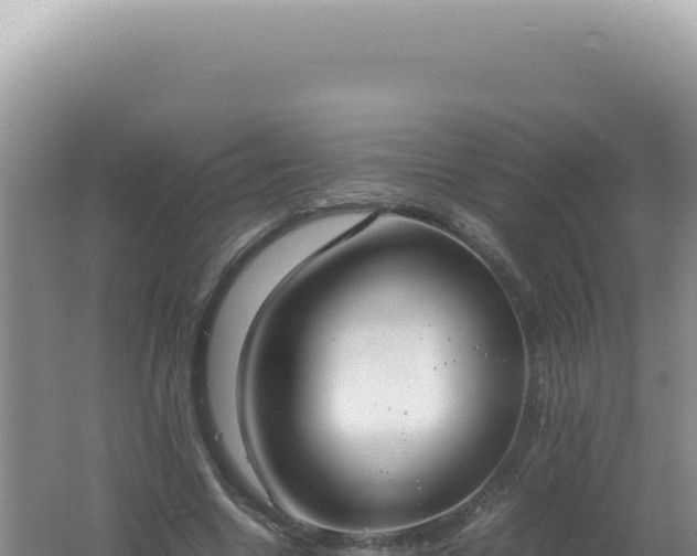 X0000061720538200512092003