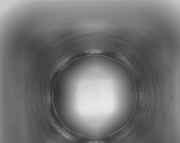 X0000061720541200512092003