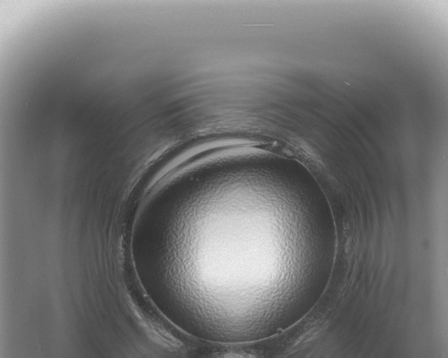 X0000061720542200512092003