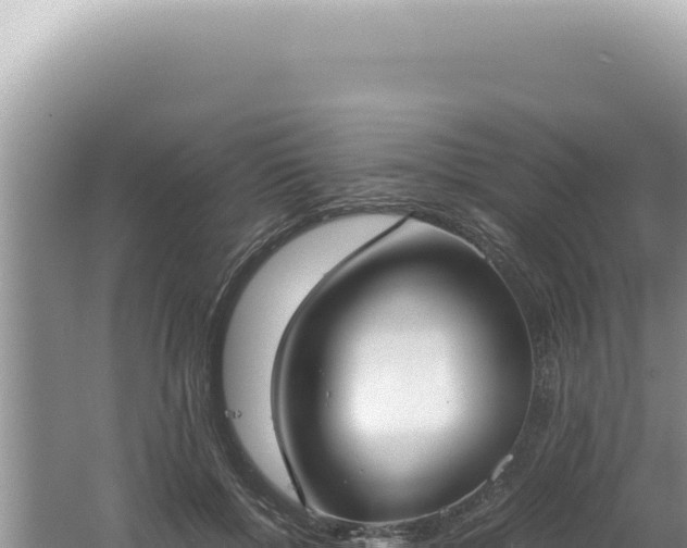 X0000061720552200512092003