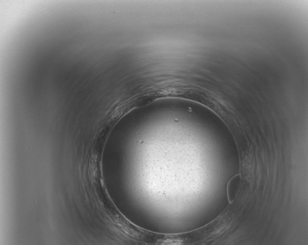 X0000061720554200512092003