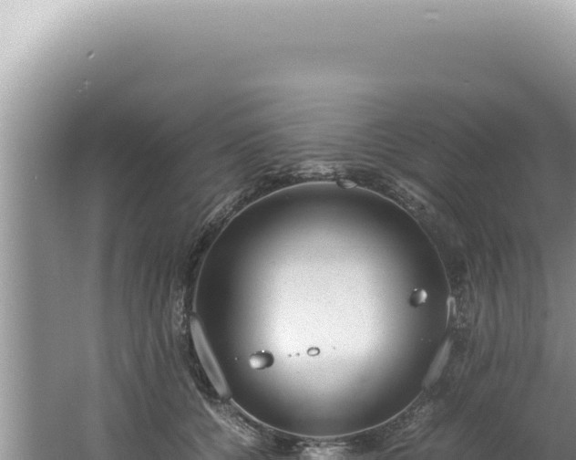 X0000061720560200512092003