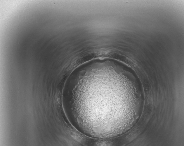 X0000061720561200512092003