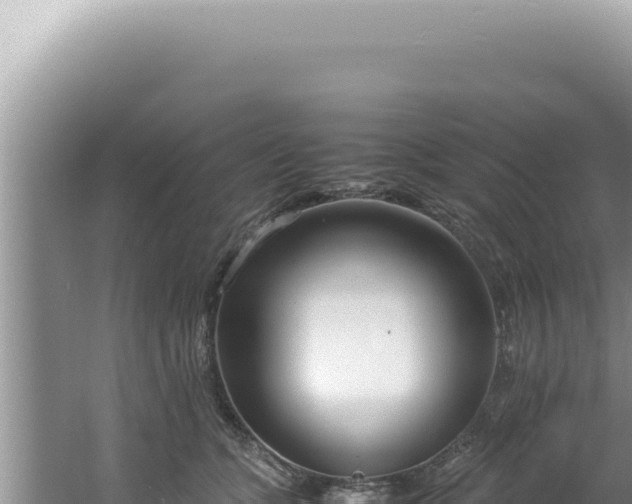 X0000061720563200512092003