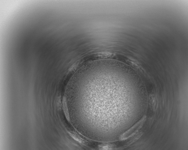 X0000061720564200512092003