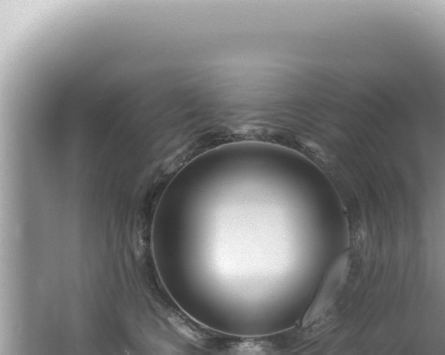 X0000061720566200512092003