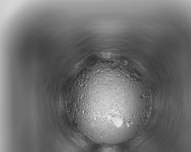 X0000061720569200512092003