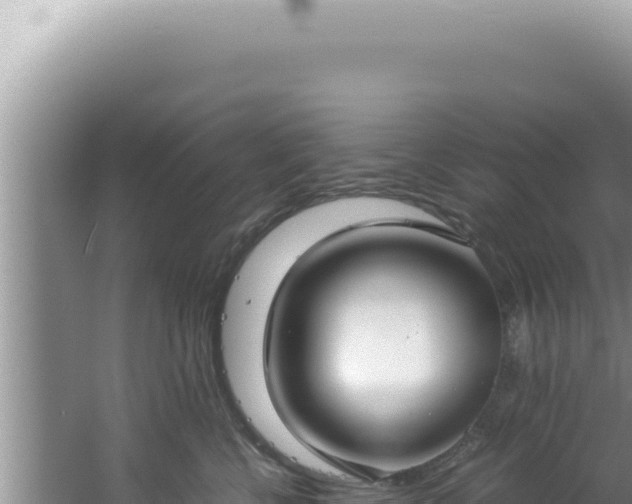 X0000061720570200512092003