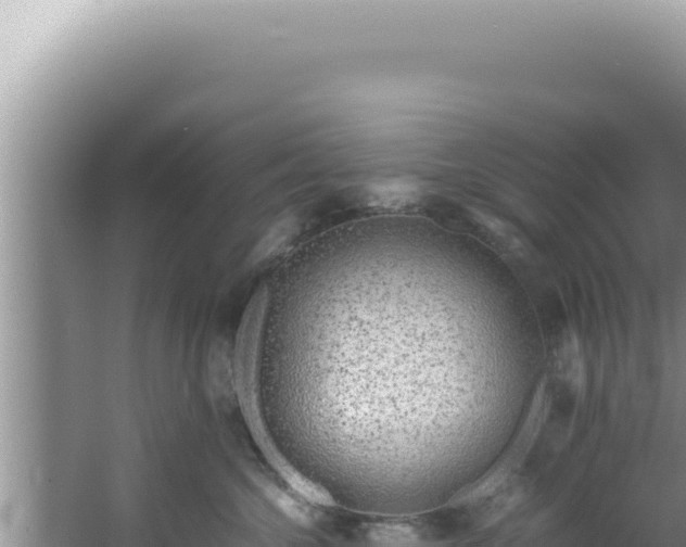 X0000061720572200512092003