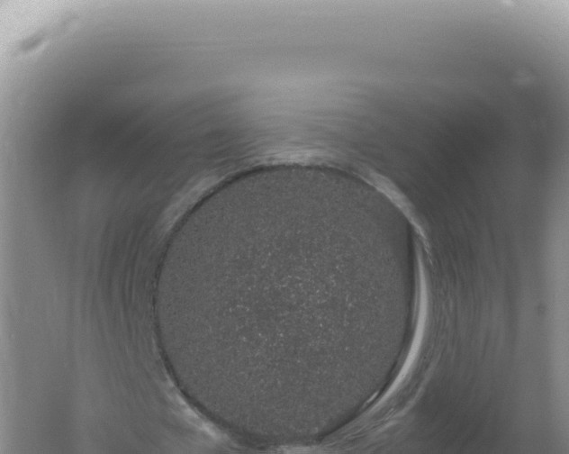 X0000061720577200512092003