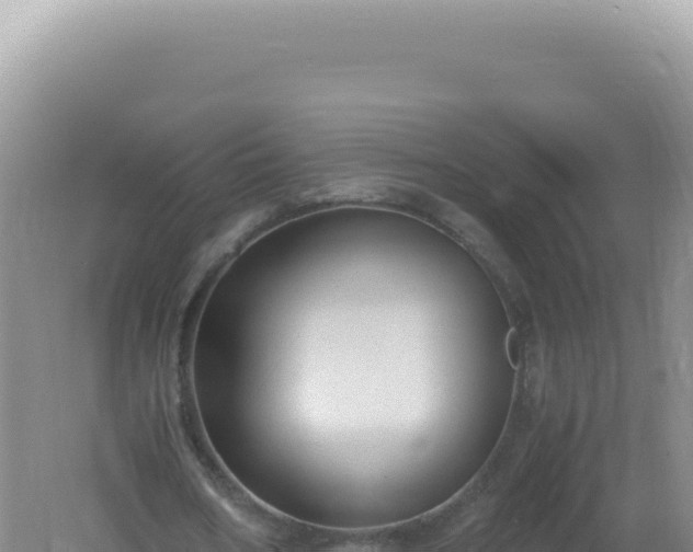 X0000061720578200512092003