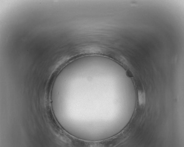 X0000061720579200512092003