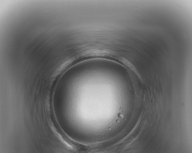 X0000061720581200512092003