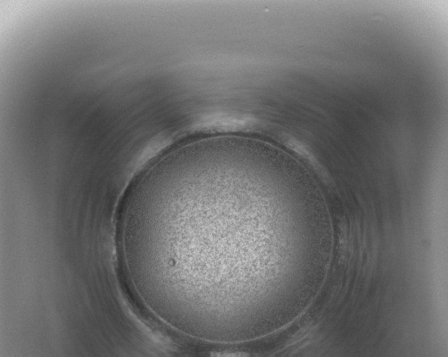 X0000061720582200512092003