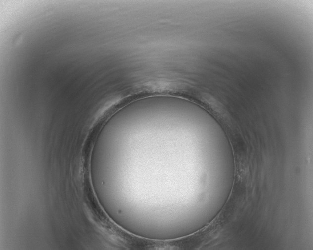 X0000061720583200512092002