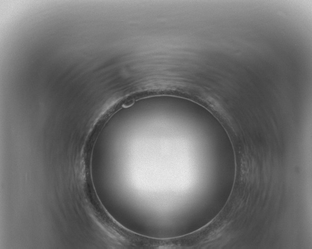 X0000061720584200512092002