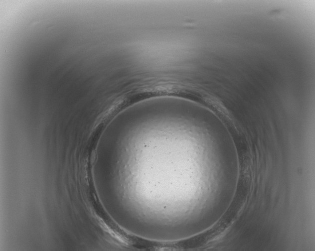 X0000061720585200512092002