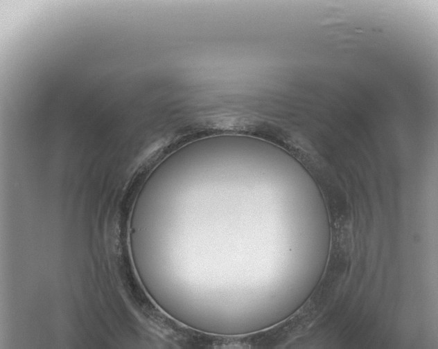 X0000061720587200512092002