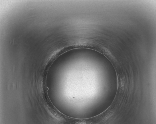 X0000061720588200512092002