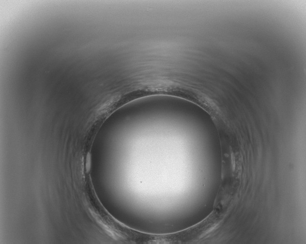 X0000061720589200512092002