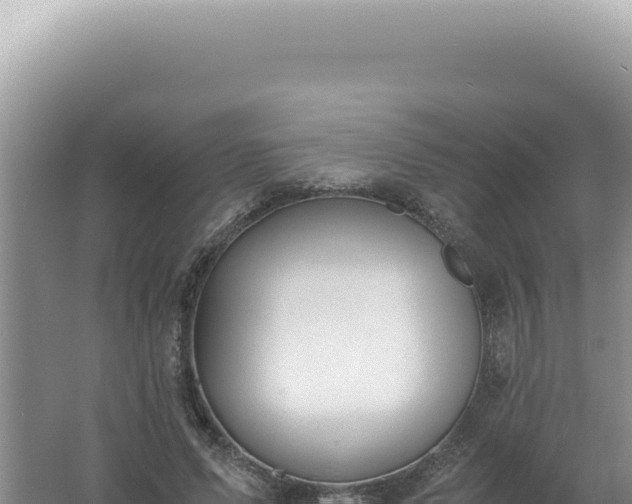 X0000061720591200512092002