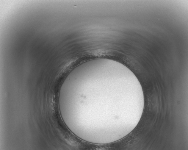 X0000061720592200512092002