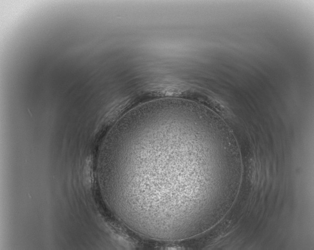 X0000061720594200512092002