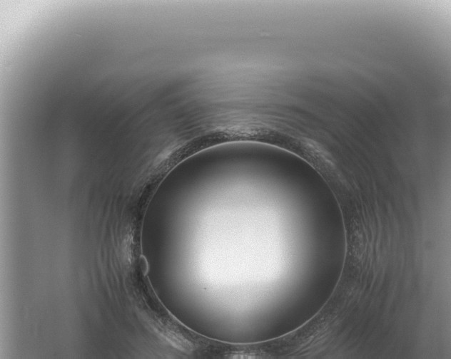 X0000061720596200512092002