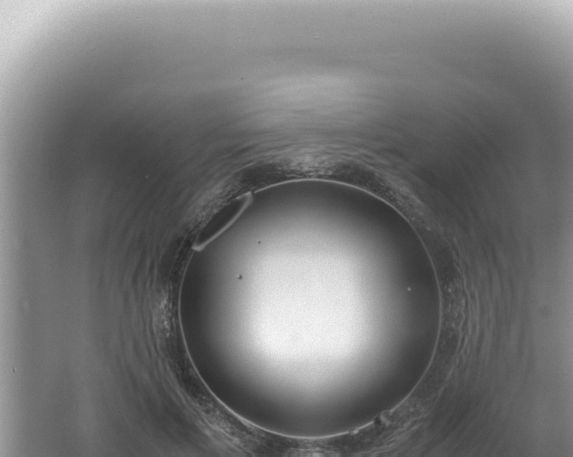 X0000061720597200512092002