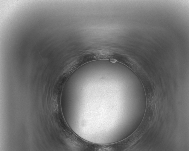 X0000061720599200512092002