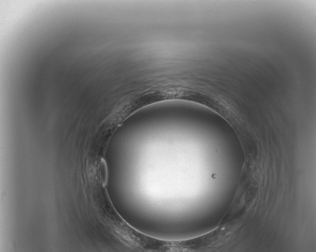 X0000061720601200512092002