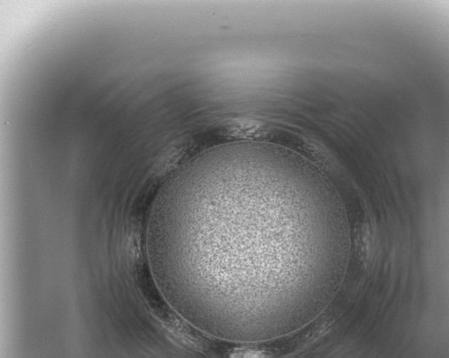 X0000061720602200512092002