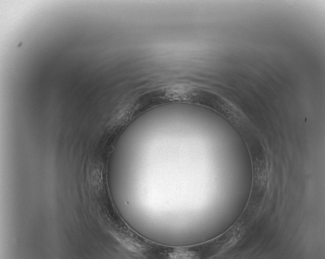 X0000061720603200512092002