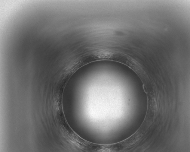 X0000061720604200512092002