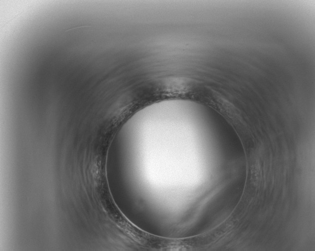 X0000061720608200512092002