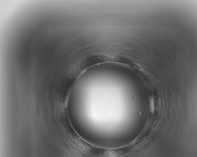 X0000061720613200512092002