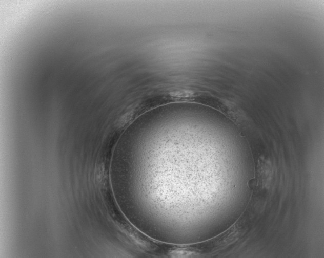 X0000061720614200512092002