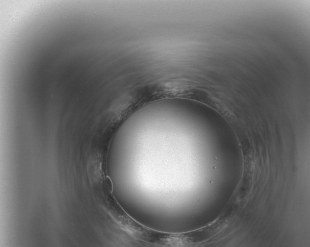 X0000061720615200512092002